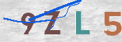 この文字を入力してください