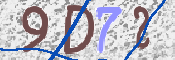 この文字を入力してください