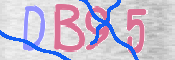 この文字を入力してください