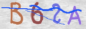 この文字を入力してください