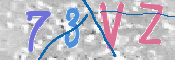 この文字を入力してください
