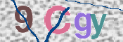 この文字を入力してください