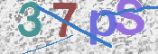 この文字を入力してください