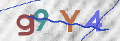 この文字を入力してください