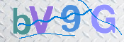 この文字を入力してください