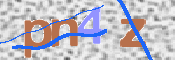 この文字を入力してください