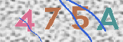 この文字を入力してください