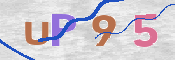 この文字を入力してください