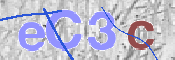 この文字を入力してください