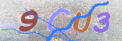 この文字を入力してください