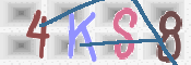 この文字を入力してください