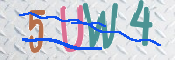 この文字を入力してください