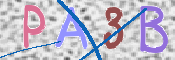 この文字を入力してください