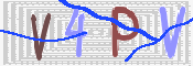 この文字を入力してください