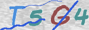 この文字を入力してください