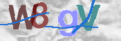 この文字を入力してください