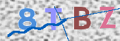 この文字を入力してください
