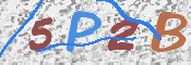 この文字を入力してください