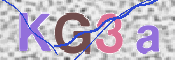 この文字を入力してください