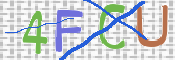 この文字を入力してください