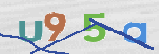 この文字を入力してください