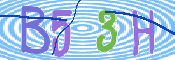 この文字を入力してください