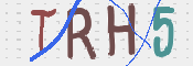 この文字を入力してください