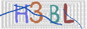 この文字を入力してください