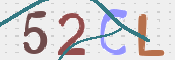 この文字を入力してください