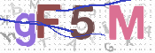 この文字を入力してください