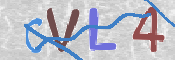 この文字を入力してください