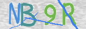 この文字を入力してください