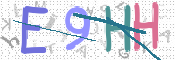 この文字を入力してください