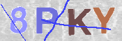 この文字を入力してください