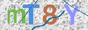 この文字を入力してください