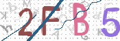 この文字を入力してください