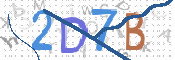 この文字を入力してください