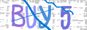 この文字を入力してください