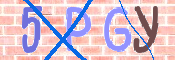 この文字を入力してください