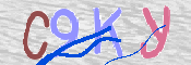 この文字を入力してください