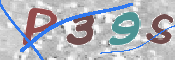 この文字を入力してください