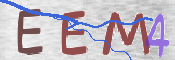 この文字を入力してください