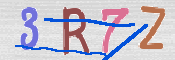 この文字を入力してください