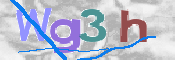 この文字を入力してください