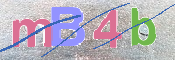 この文字を入力してください