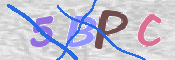 この文字を入力してください