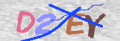 この文字を入力してください