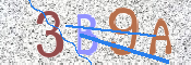 この文字を入力してください
