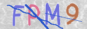 この文字を入力してください