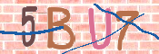 この文字を入力してください